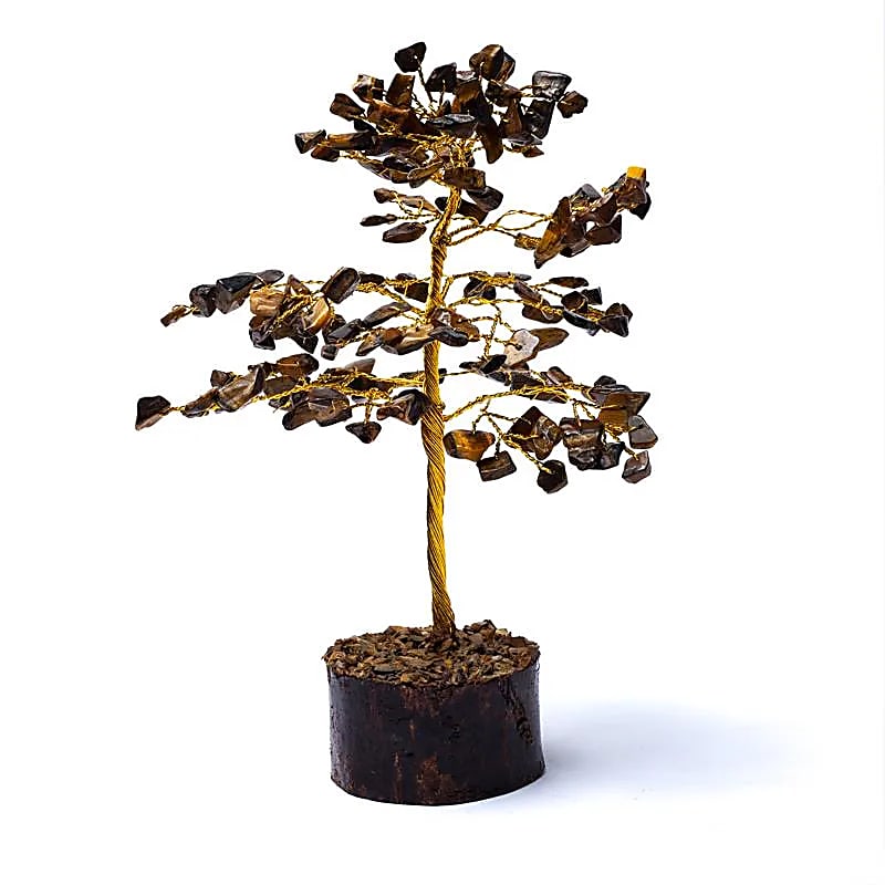 Arbre Oeil du Tigre