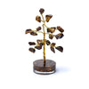 Albero di occhio di tigre