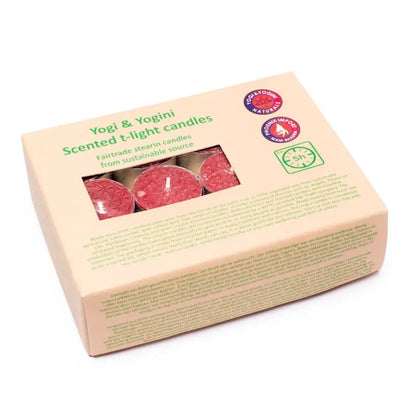 Bougies chauffe plat Fleur de vie parfum Rose de gros thumb