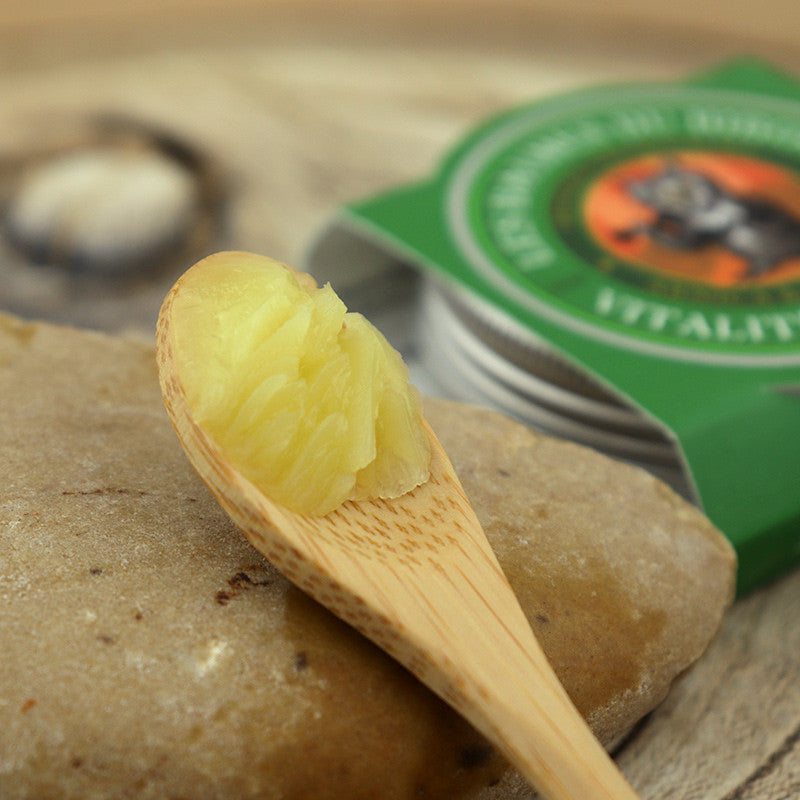 Owl Balm Muscle Vitality BIO wholesale