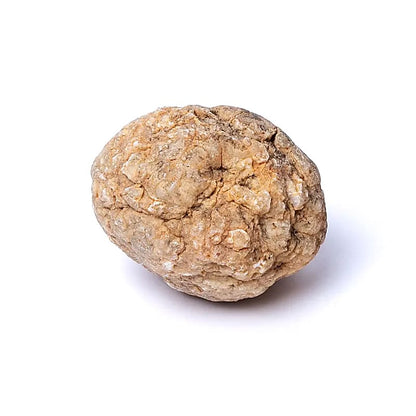 Calciet geode (ongebroken) 5-6 stuks Kopen thumb