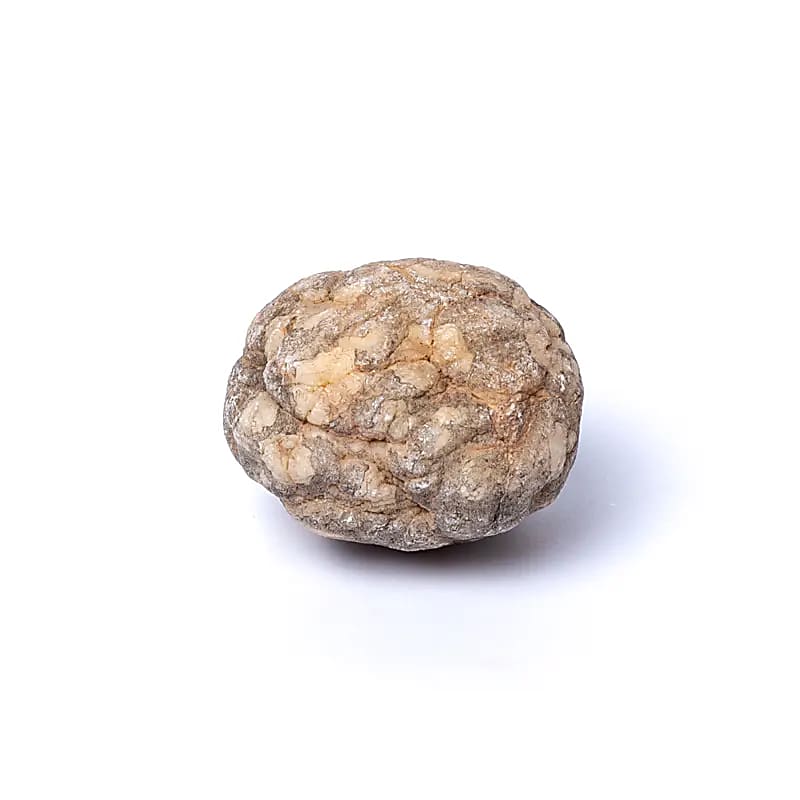 Calciet geode (ongebroken) 5-6 stuks