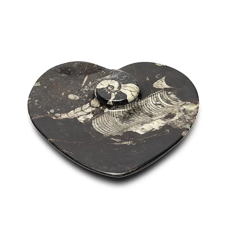 Heart-shaped marble plate with fossils