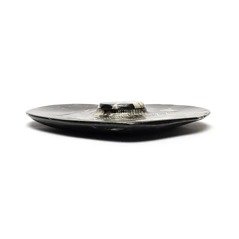 Heart-shaped marble plate with fossils wholesale