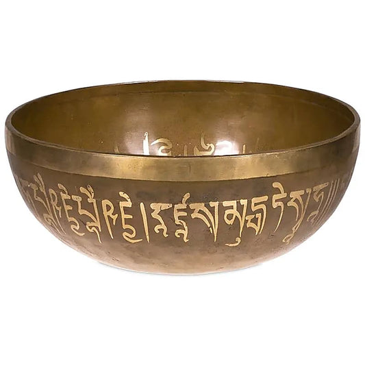 Bol Tibétain Bouddha Médecine