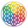 Adesivo per vetri e finestre Fiore della vita arcobaleno