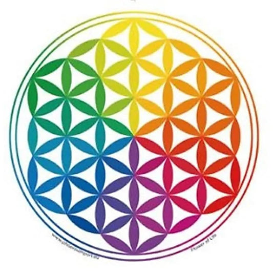 Raamsticker Bloem des Levens Regenboog