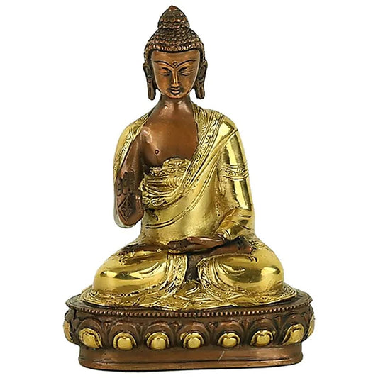 Buddha mudra insegnamento bicolore